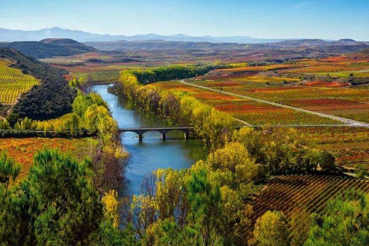 Rioja Alta Wine Day: 15th-Century Cellar, Grape Treading, Barrels and Lunch (1/8)