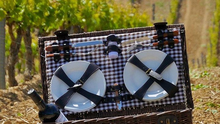 9-Hour Rioja Day from San Sebastian: Four Wineries, Cave Picnic, Laguardia (2/8)