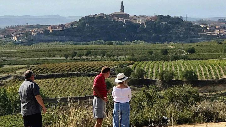 9-Hour Rioja Day from San Sebastian: Four Wineries, Cave Picnic, Laguardia (1/8)