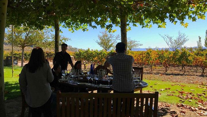 9-Hour Rioja Day from San Sebastian: Four Wineries, Cave Picnic, Laguardia (4/8)