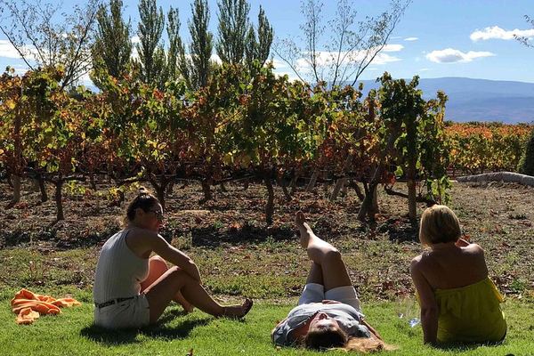 9-Hour Rioja Day from San Sebastian: Four Wineries, Cave Picnic, Laguardia