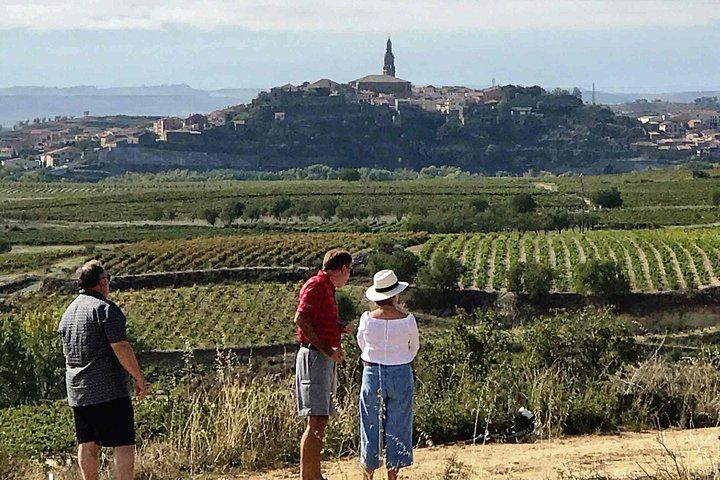 9-Hour Rioja Day from San Sebastian: Four Wineries, Cave Picnic, Laguardia (1/8)