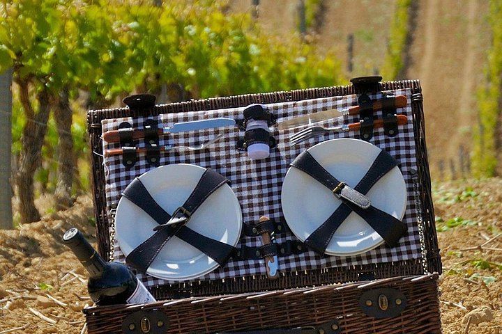 9-Hour Rioja Day from San Sebastian: Four Wineries, Cave Picnic, Laguardia (2/8)