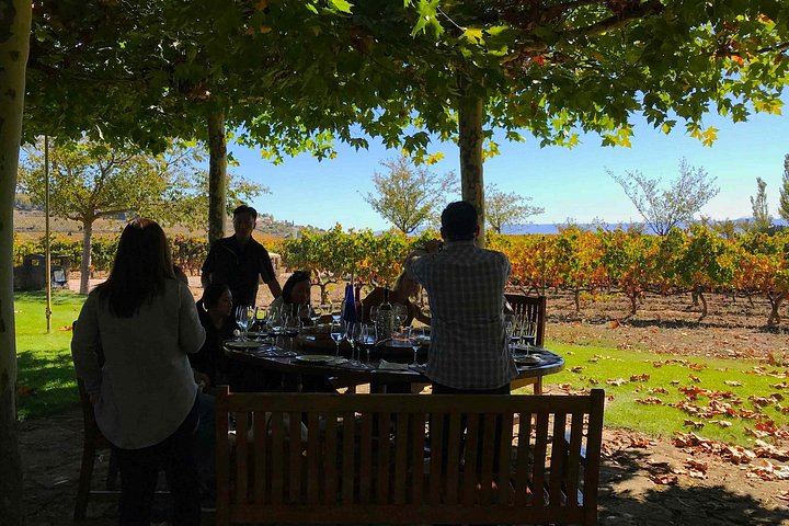 9-Hour Rioja Day from San Sebastian: Four Wineries, Cave Picnic, Laguardia (4/8)
