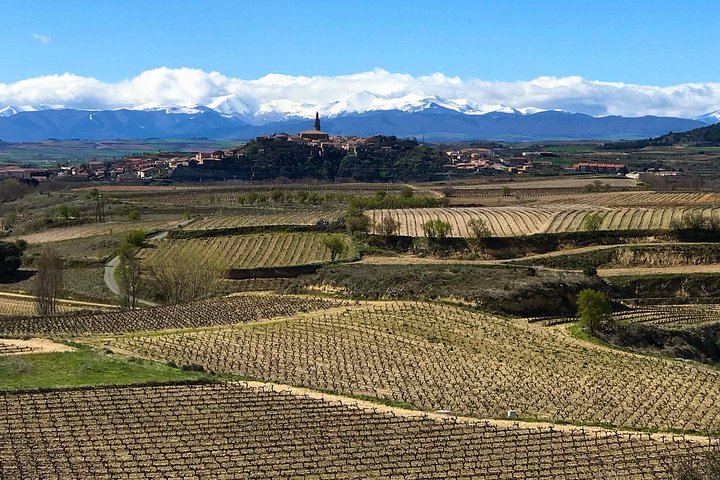 9-Hour Rioja Day from San Sebastian: Four Wineries, Cave Picnic, Laguardia (8/8)