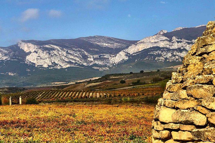 9-Hour Rioja Day from San Sebastian: Four Wineries, Cave Picnic, Laguardia (7/8)