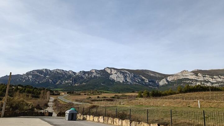 Private Rioja Wine Day from San Sebastian: Two to Three Wineries, Three-Course Lunch (3/12)