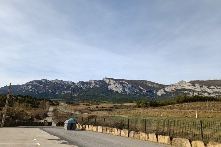 Private Rioja Wine Day from San Sebastian: Two to Three Wineries, Three-Course Lunch (3/12)