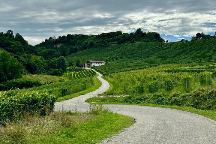 Private Vespa Ride from Alba into Alta Langa Hazelnut Country and Barolo, up to 750 m (8/12)