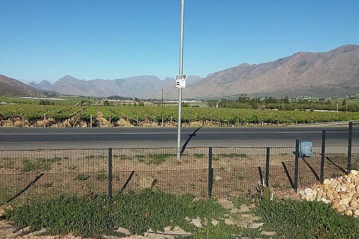 Private Full-Day Wine Tasting from Cape Town: Stellenbosch, Franschhoek, Paarl (10/12)