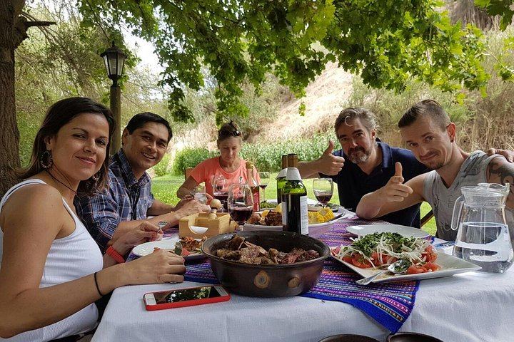 Private Horseback Wine Tour from Santiago: Organic Wine and Country Grill (5/12)