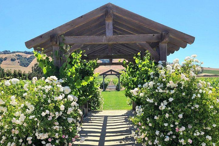 Half-Day Sonoma Wine Tour from San Francisco Hotels with Two Tastings and Sonoma Plaza (12/12)