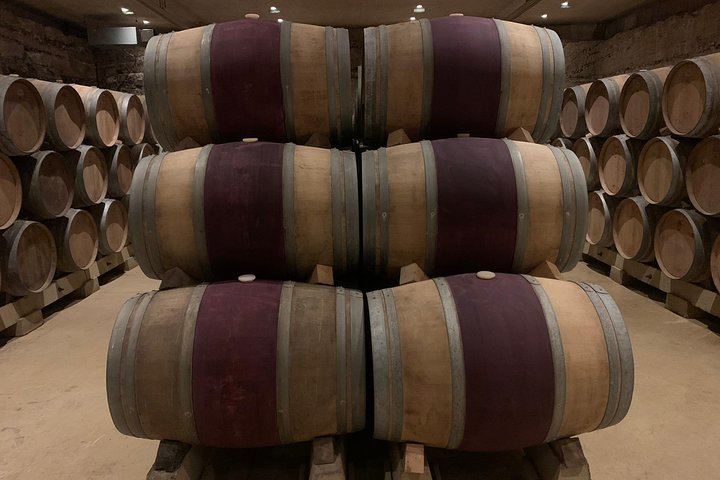 Rioja Alavesa Day Trip: Four Winery Tastings and Medieval Villages (7/12)