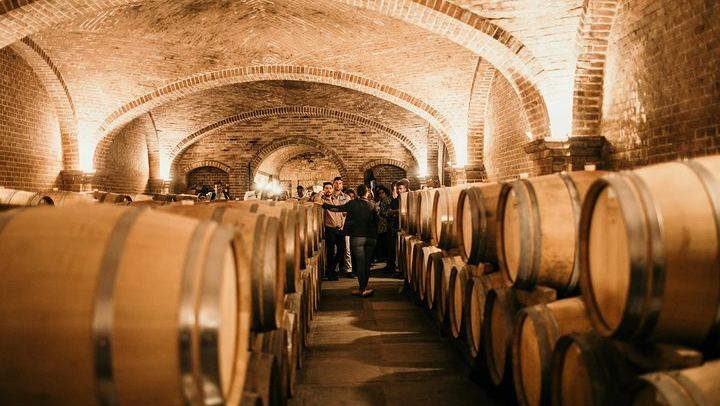 Barolo and Barbaresco with a Sommelier: Neive Coffee Start, Two Wineries and Osteria Lunch (3/10)