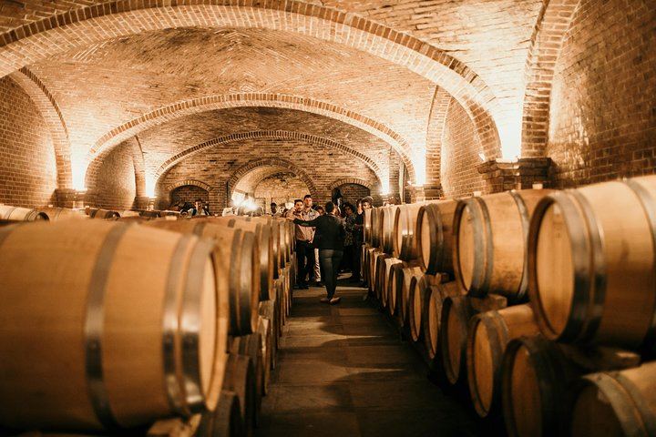 Barolo and Barbaresco with a Sommelier: Neive Coffee Start, Two Wineries and Osteria Lunch (3/10)