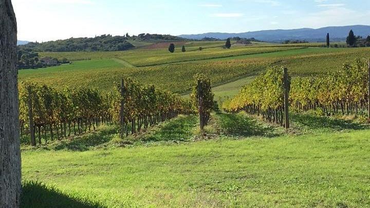 Small-Group Chianti Tasting from Florence at a 12th-Century Villa: Seven Wines and Lunch (1/9)