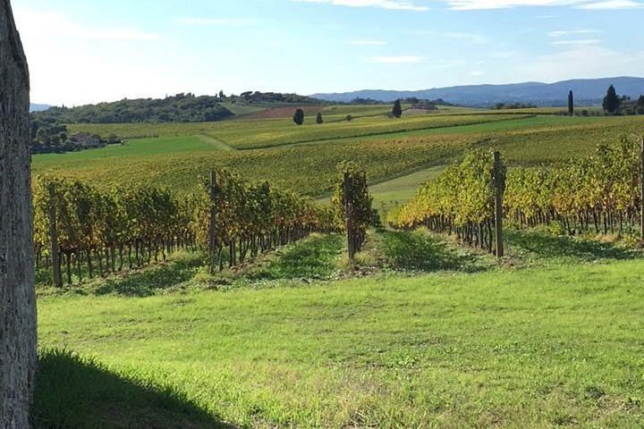 Small-Group Chianti Tasting from Florence at a 12th-Century Villa: Seven Wines and Lunch (1/9)