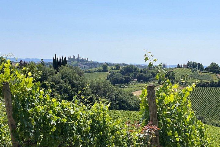 ItaliaTours Rome to Florence and Tuscany by High-Speed Train, with San Gimignano Winery (5/12)