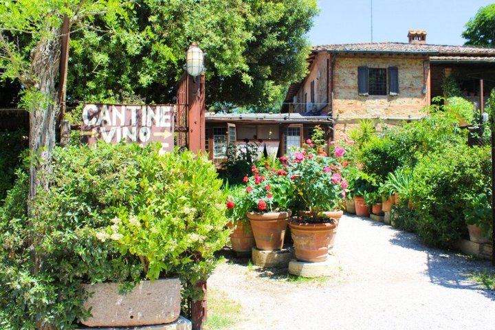 The Tour Guy Rome to Tuscany: Civita di Bagnoregio, Montepulciano Winery Lunch and Pienza (7/12)