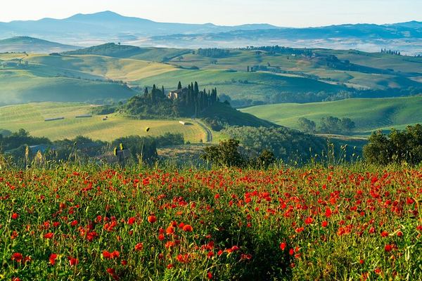 Rome to Tuscany Day Trip by Coach: Montepulciano, Pienza, Vineyard Lunch and Wine Tasting