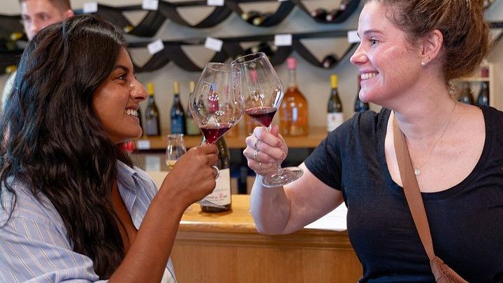 Guided Half-Day Rosé and Côtes de Provence Wine Tour from Marseille with Two Estates (2/11)