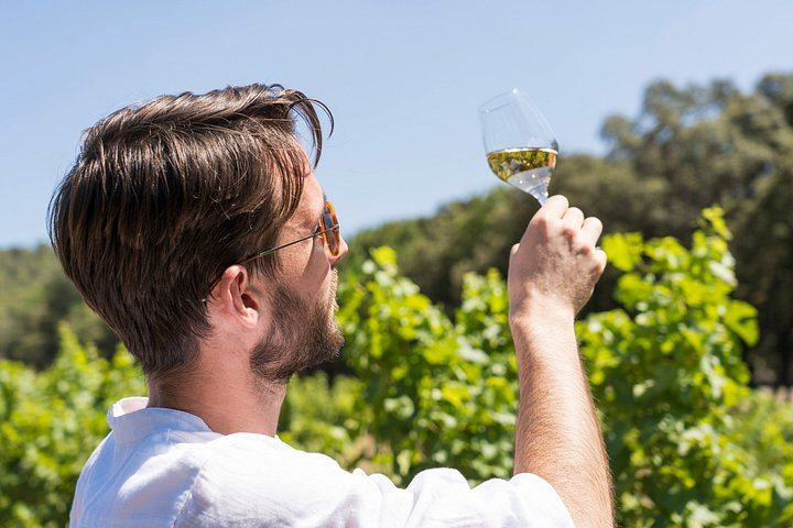 Guided Half-Day Rosé and Côtes de Provence Wine Tour from Marseille with Two Estates (1/11)
