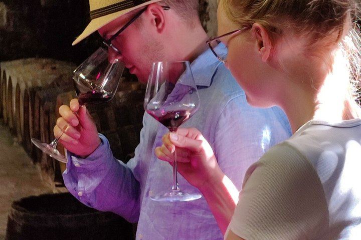 Guided Half-Day Rosé and Côtes de Provence Wine Tour from Marseille with Two Estates (6/11)
