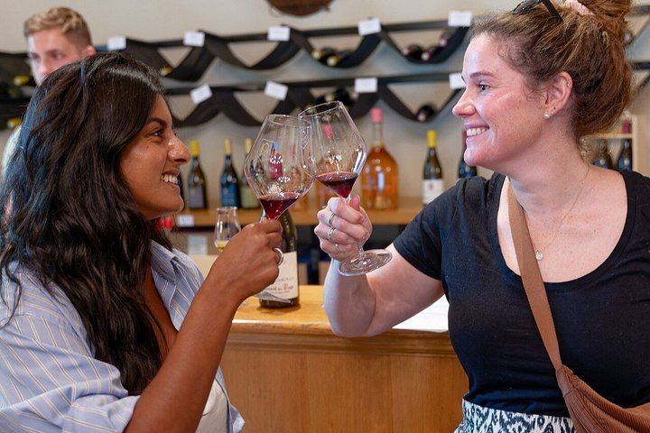 Guided Half-Day Rosé and Côtes de Provence Wine Tour from Marseille with Two Estates (2/11)
