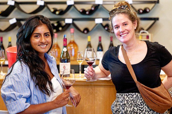 Guided Half-Day Rosé and Côtes de Provence Wine Tour from Marseille with Two Estates (7/11)