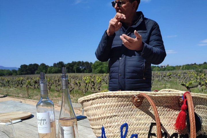 Guided Half-Day Rosé and Côtes de Provence Wine Tour from Marseille with Two Estates (10/11)