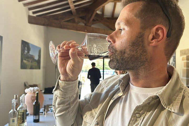 Guided Half-Day Rosé and Côtes de Provence Wine Tour from Marseille with Two Estates (11/11)