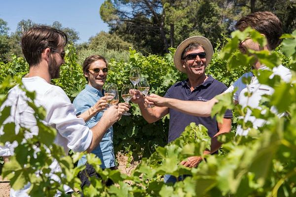 Guided Half-Day Rosé and Côtes de Provence Wine Tour from Marseille with Two Estates