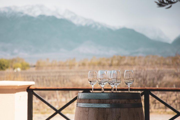 Private Luxury Uco Valley Day: Clos de los Siete, Piedra Negra and La Morada Lunch (6/12)