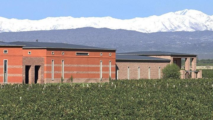 Luján de Cuyo Wine Tasting: Benegas, Ruca Malen and Norton's Paired Lunch (2/12)
