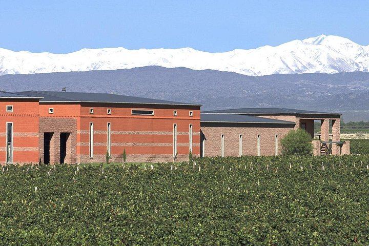 Luján de Cuyo Wine Tasting: Benegas, Ruca Malen and Norton's Paired Lunch (2/12)