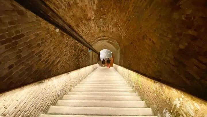 Private Half Day from Paris to Ruinart, the Oldest Champagne House, with Reims Cathedral (4/8)
