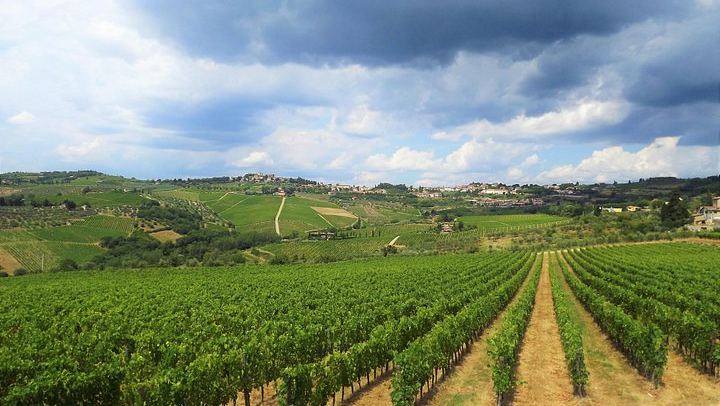 Chianti Open-Top Van Safari: Montefioralle, Greve and Two Winery Tastings with Lunch (2/12)