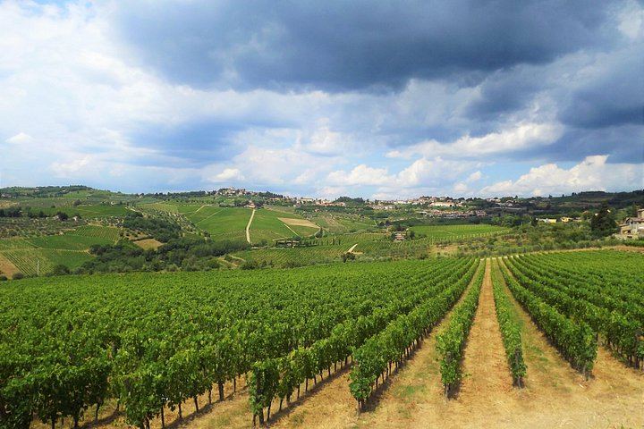 Chianti Open-Top Van Safari: Montefioralle, Greve and Two Winery Tastings with Lunch (2/12)