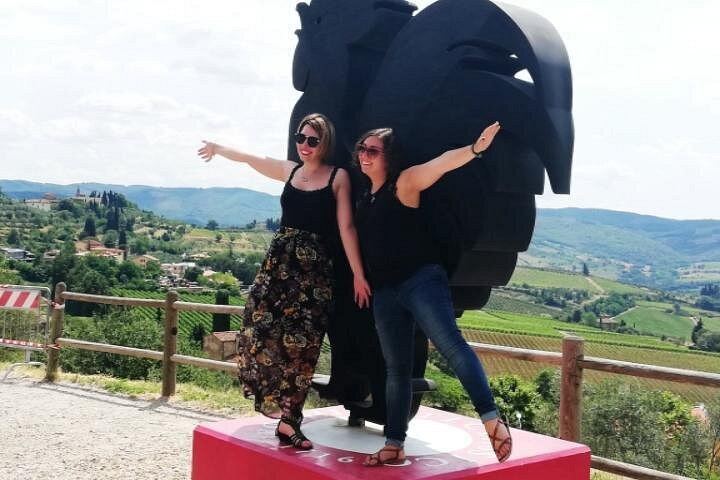 Chianti Open-Top Van Safari: Montefioralle, Greve and Two Winery Tastings with Lunch (4/12)