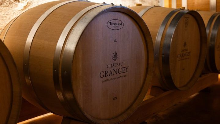 Saint-Émilion Afternoon Wine Tour from Bordeaux: Two Grand Cru Tastings, Max 8 People (4/9)
