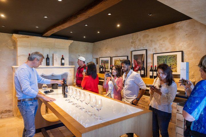 Saint-Émilion Afternoon Wine Tour from Bordeaux: Two Grand Cru Tastings, Max 8 People (8/9)