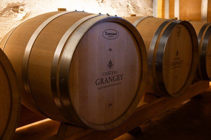 Saint-Émilion Afternoon Wine Tour from Bordeaux: Two Grand Cru Tastings, Max 8 People (4/9)