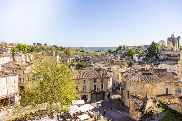 Saint-Émilion Afternoon Wine Tour from Bordeaux: Two Grand Cru Tastings, Max 8 People (5/9)