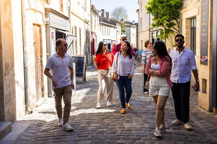 Saint-Émilion Afternoon Wine Tour from Bordeaux: Two Grand Cru Tastings, Max 8 People (6/9)