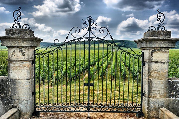 Full-Day Saint-Émilion Trip from Bordeaux: Three Château Tastings and Village Sightseeing (8/10)