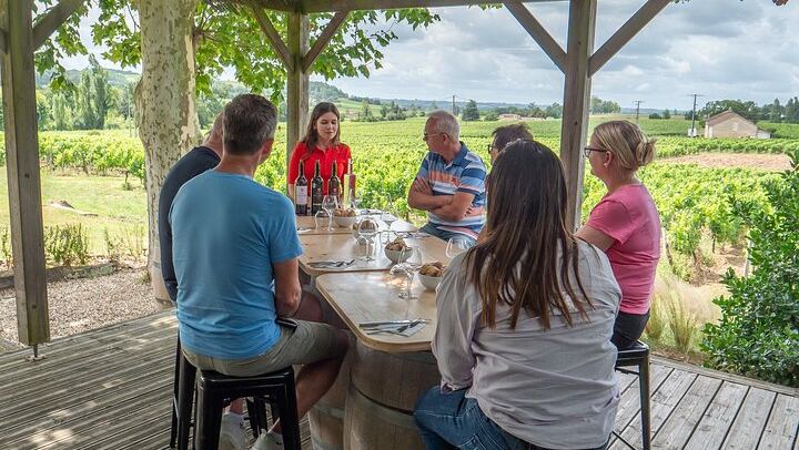 Saint-Émilion Day Trip from Bordeaux: Village Walk, 3 Château Tastings and Picnic Lunch (1/12)