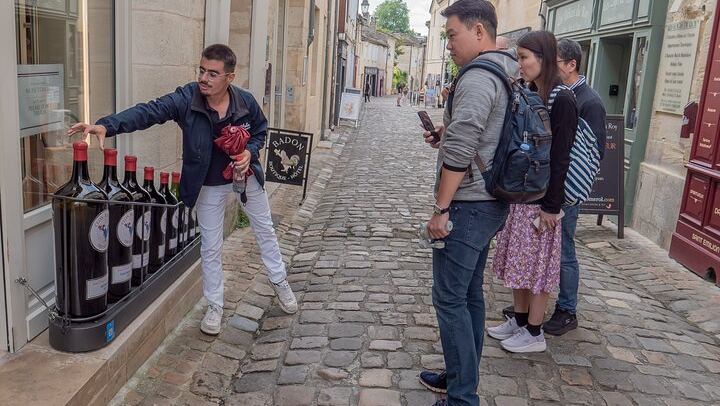 Saint-Émilion Day Trip from Bordeaux: Village Walk, 3 Château Tastings and Picnic Lunch (4/12)
