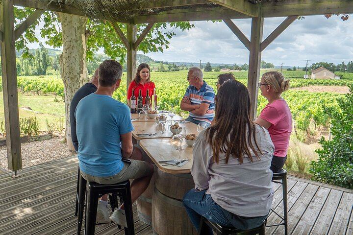 Saint-Émilion Day Trip from Bordeaux: Village Walk, 3 Château Tastings and Picnic Lunch (1/12)