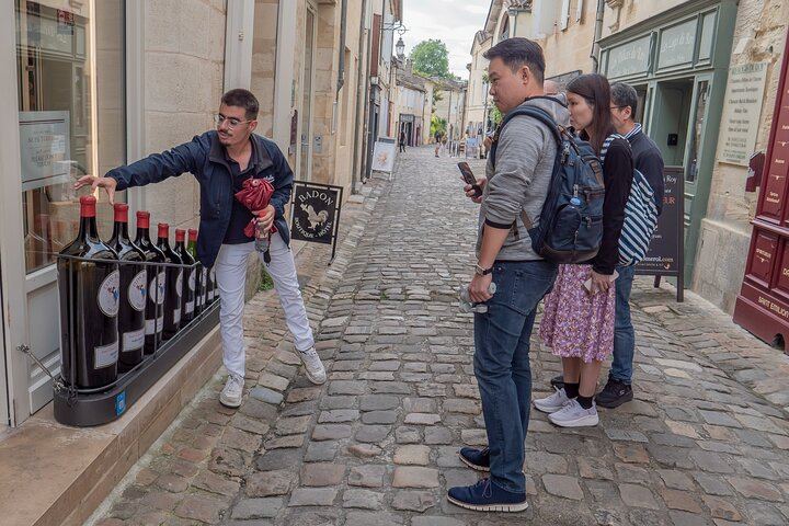 Saint-Émilion Day Trip from Bordeaux: Village Walk, 3 Château Tastings and Picnic Lunch (4/12)