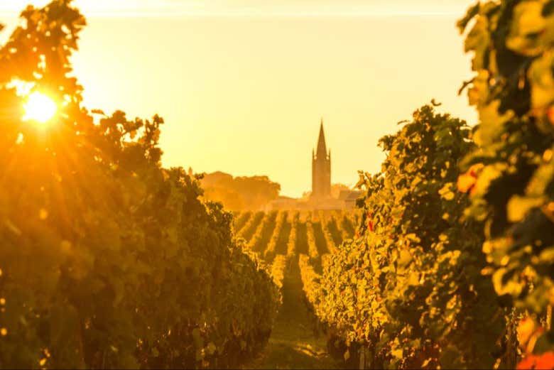 Saint-Émilion Day Trip from Bordeaux: Monolithic Church, Trinity Chapel, Grand Cru Tasting (6/7)